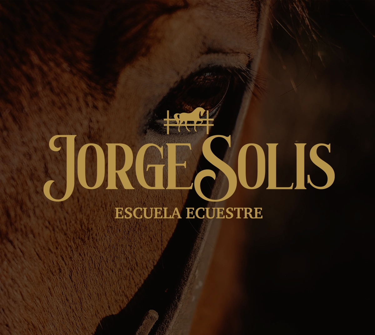 Branding_JorgeSolis