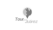 Cliente 11